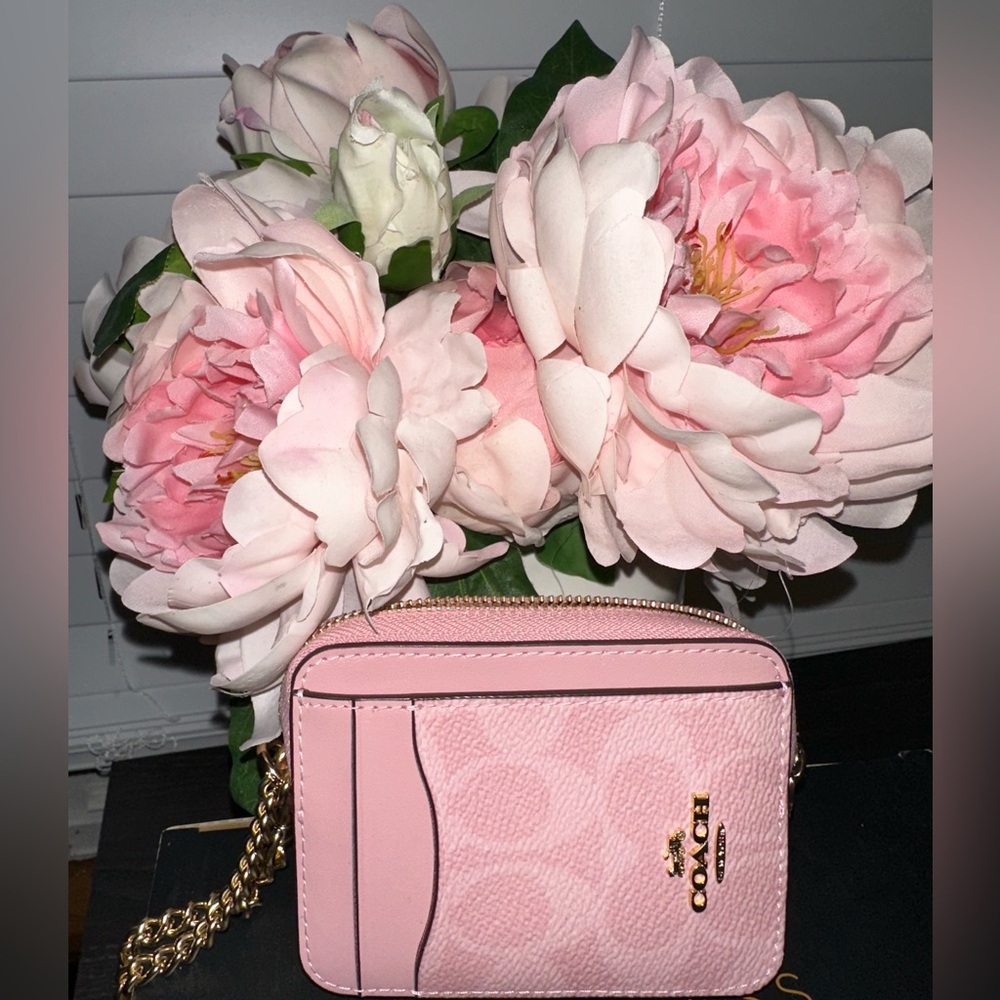 Coach powder pink zip wallet